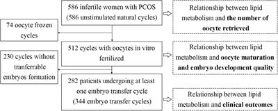 Lipid Metabolism Was Associated With Oocyte in vitro Maturation in Women With Polycystic Ovarian Syndrome Undergoing Unstimulated Natural Cycle